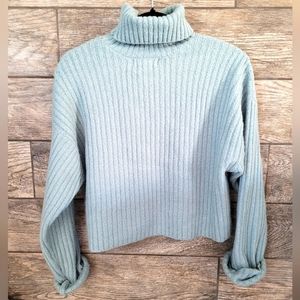 StreetWear Society Cropped Turtleneck